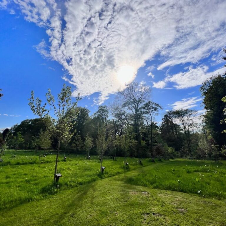 Templefields Natural Burial Solihull